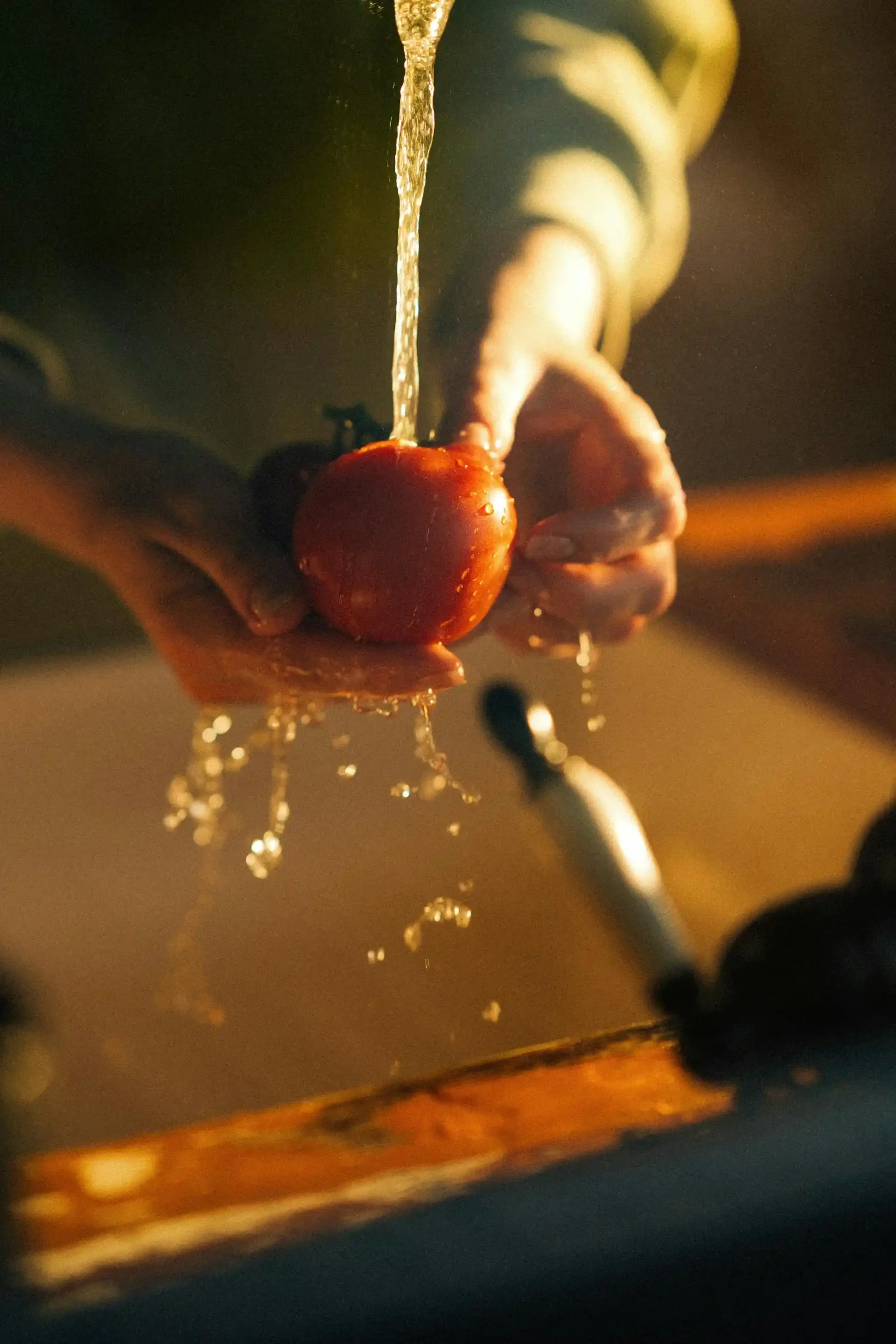 Food Safety